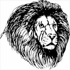 Lions Head Sketch